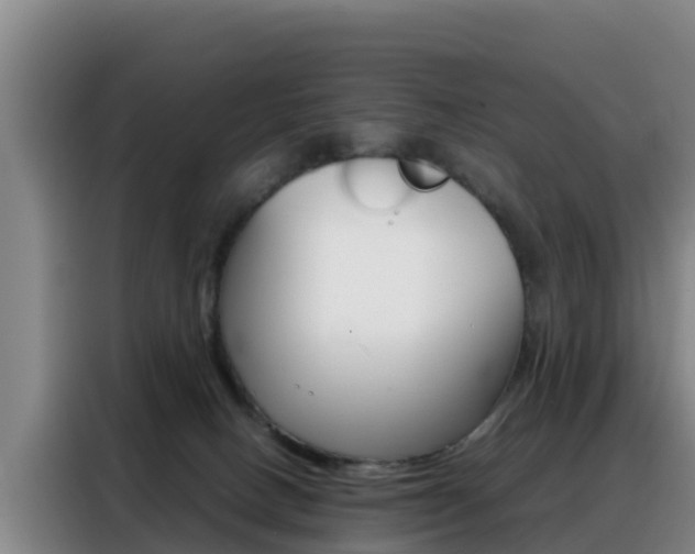 X0000088360082200705220741