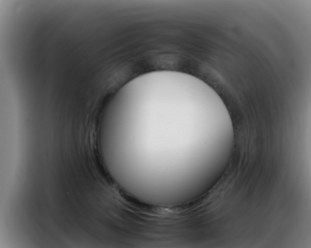 X0000088360083200705220741