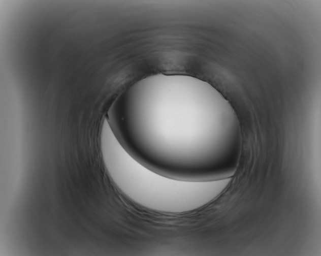 X0000088360084200705220741