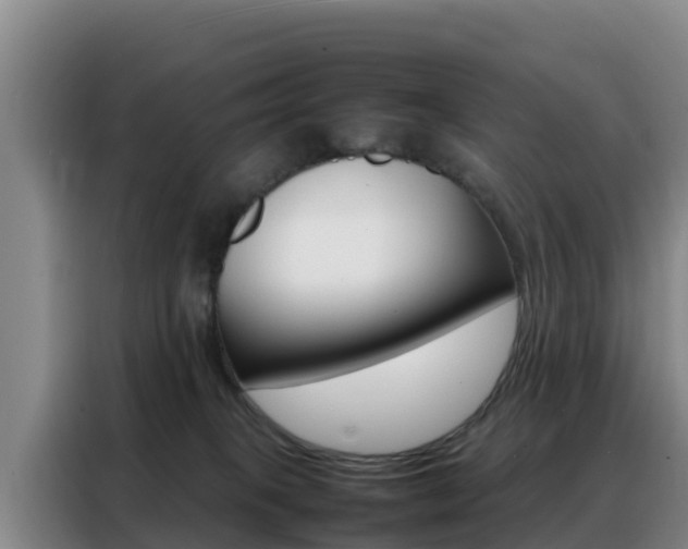 X0000088360085200705220741