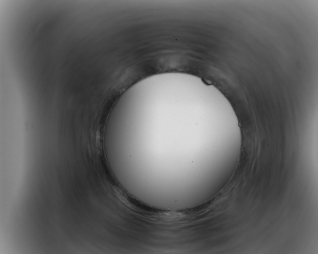 X0000088360087200705220742