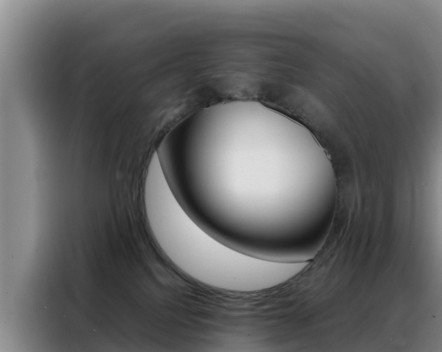 X0000088360088200705220742