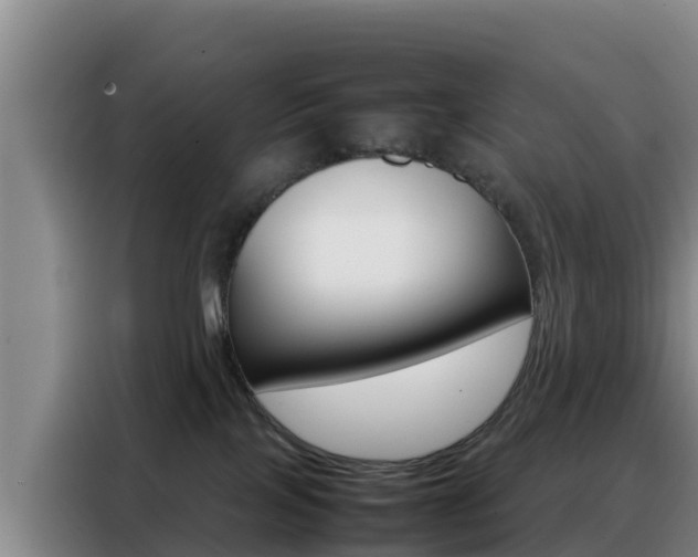 X0000088360089200705220742