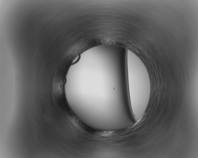 X0000088360090200705220742