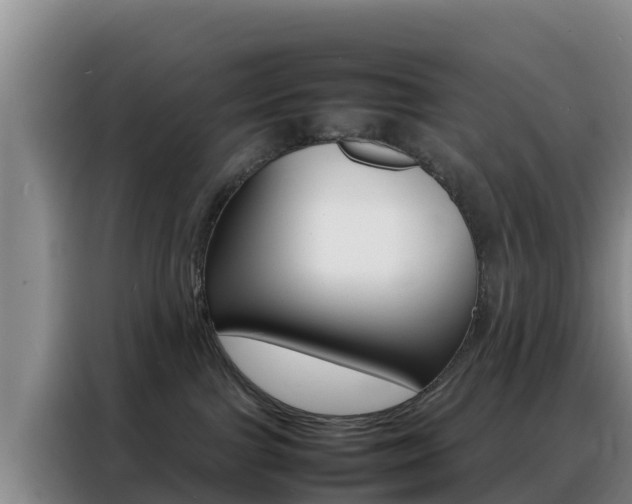 X0000088360091200705220742