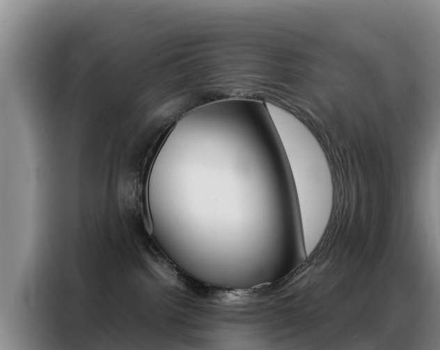 X0000088360092200705220742