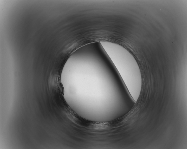 X0000088360093200705220742