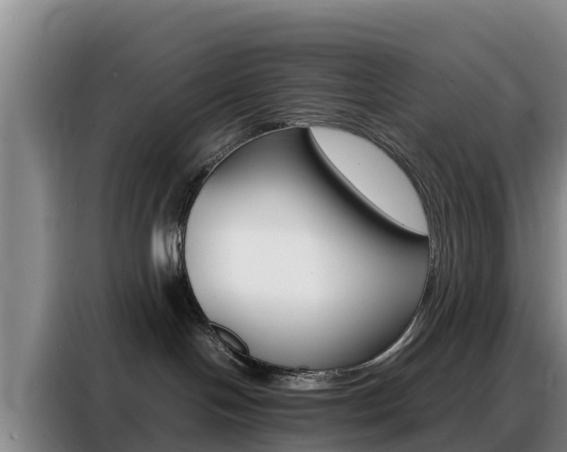 X0000088360094200705220742