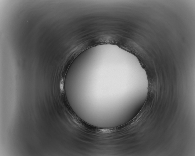 X0000088360095200705220742