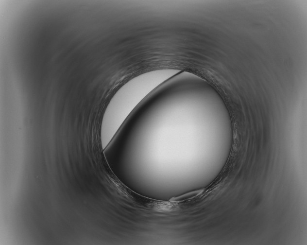 X0000088360096200705220742