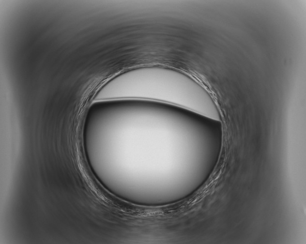 X0000088360097200705220741