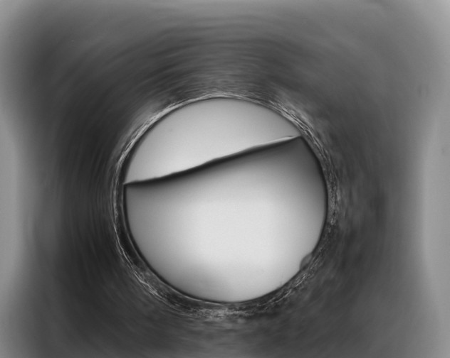 X0000088360098200705220741