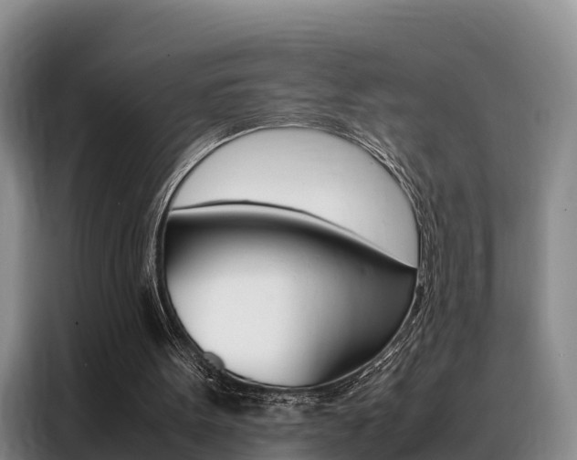 X0000088360099200705220741