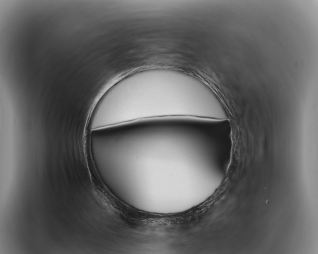 X0000088360100200705220741