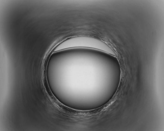 X0000088360101200705220741