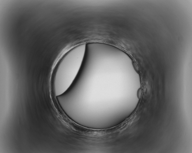 X0000088360102200705220741