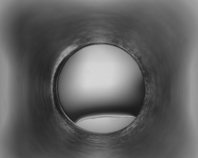X0000088360104200705220741