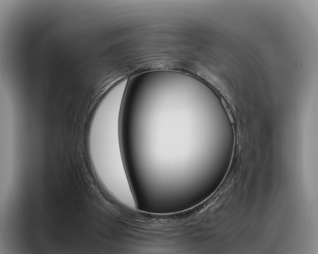 X0000088360105200705220741