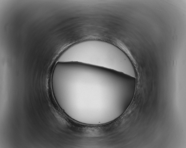 X0000088360106200705220741