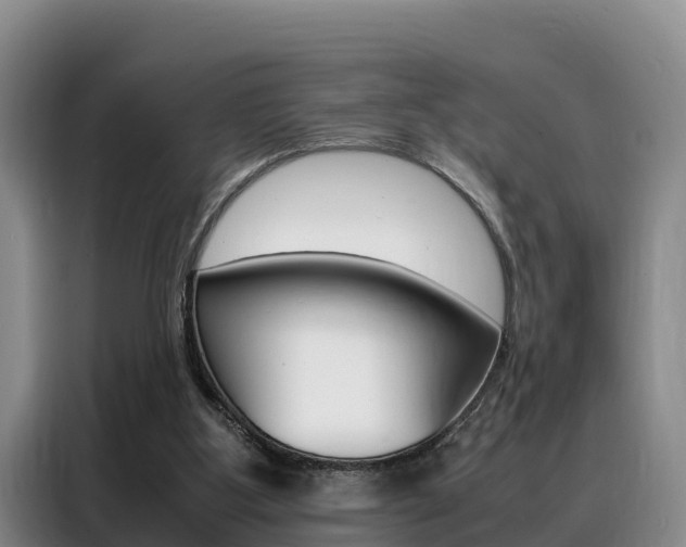 X0000088360107200705220741