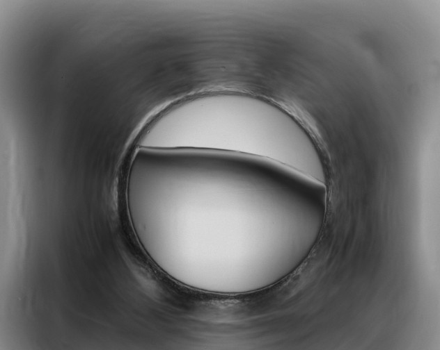X0000088360108200705220741