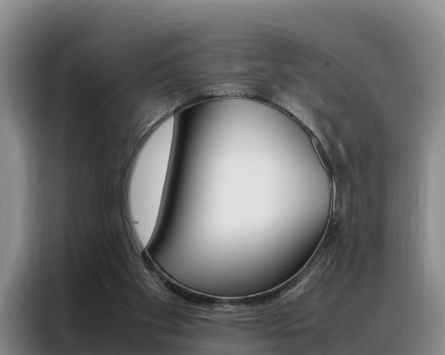 X0000088360109200705220741