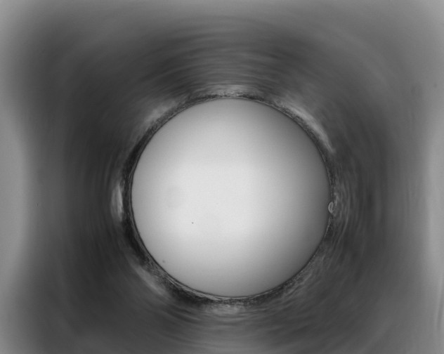 X0000088360110200705220741