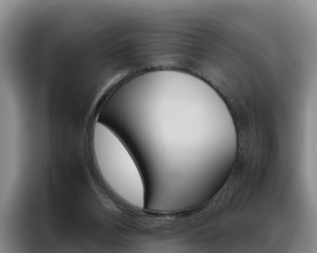 X0000088360112200705220741