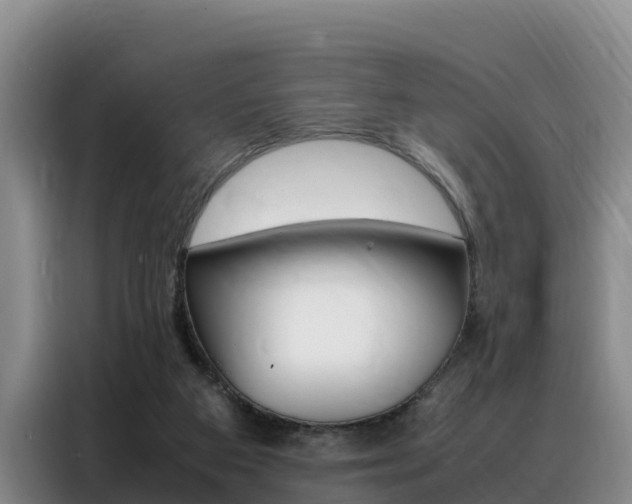 X0000088360113200705220741