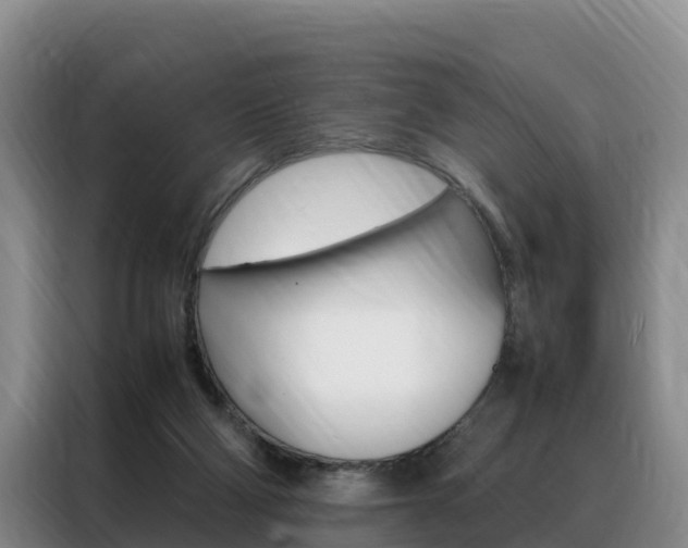 X0000088360114200705220741
