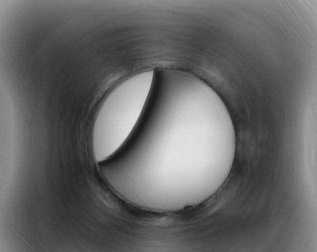 X0000088360116200705220741