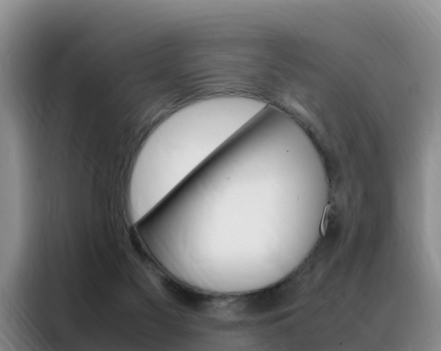 X0000088360117200705220741