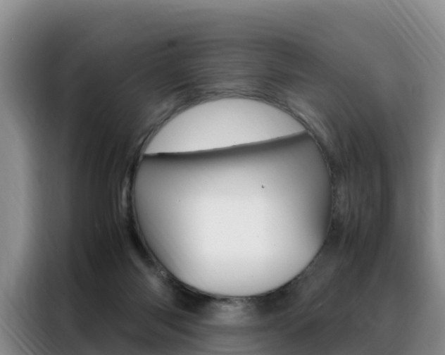 X0000088360118200705220741