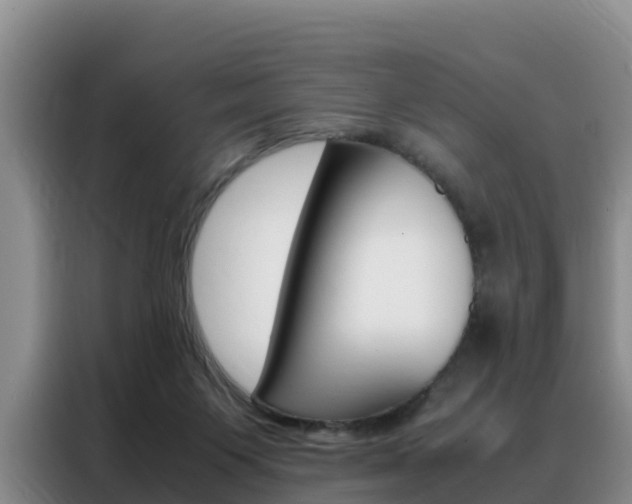 X0000088360119200705220741