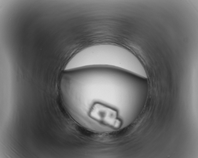 X0000088360121200705220741
