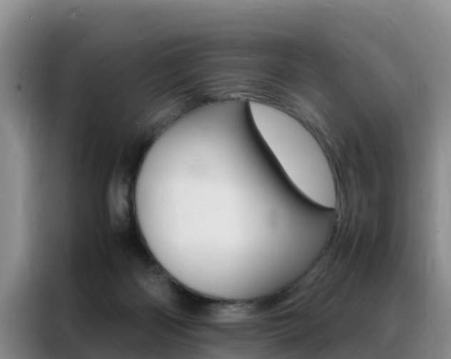 X0000088360122200705220741