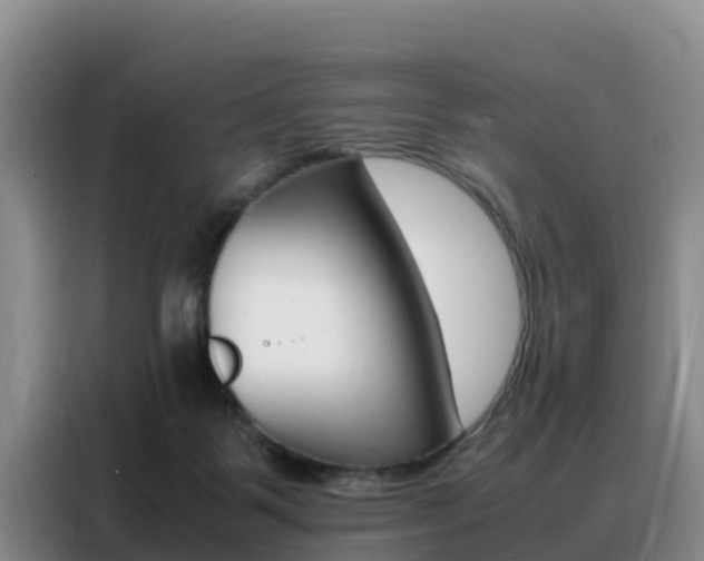 X0000088360123200705220741