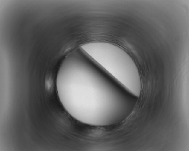 X0000088360124200705220741