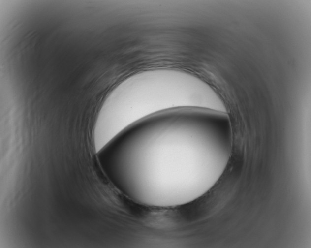 X0000088360125200705220741