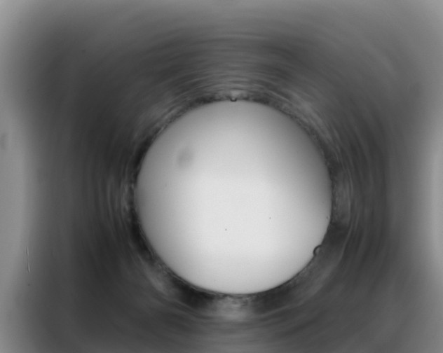 X0000088360126200705220741