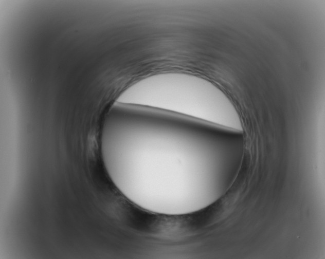 X0000088360127200705220741