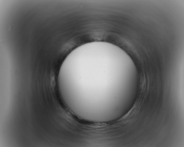 X0000088360128200705220741