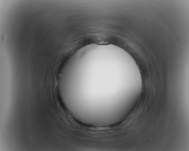 X0000088360129200705220741