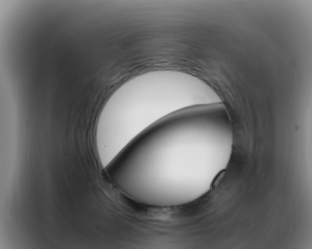 X0000088360131200705220741