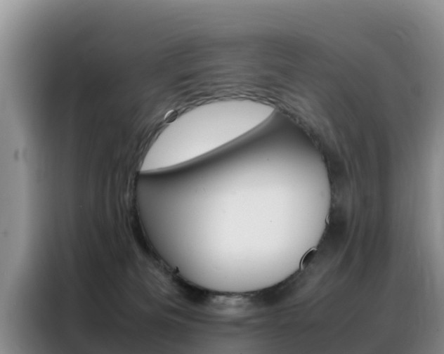 X0000088360133200705220741