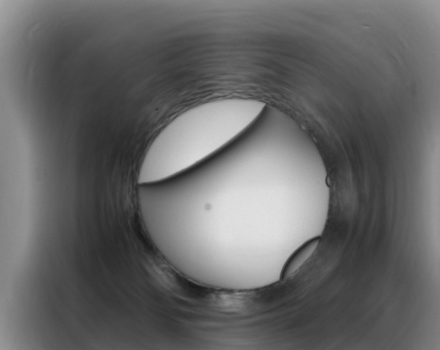 X0000088360134200705220741