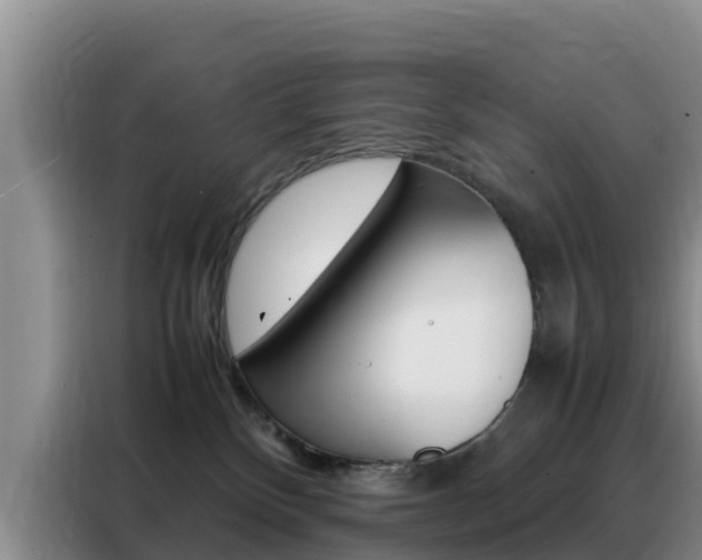 X0000088360136200705220741