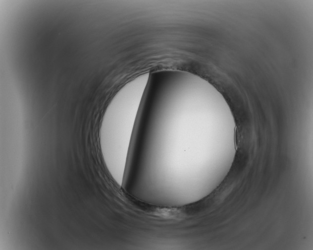 X0000088360137200705220740