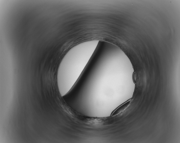 X0000088360140200705220740