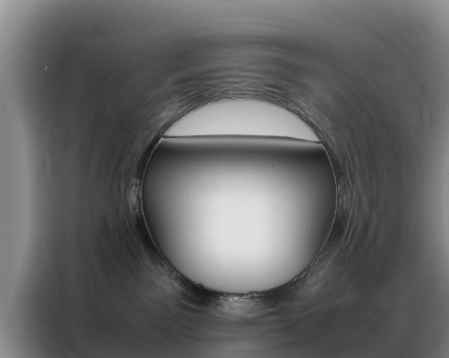 X0000088360141200705220740
